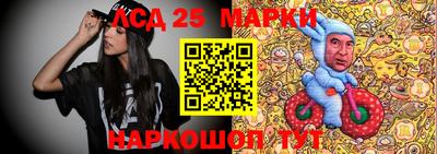 СК Можга